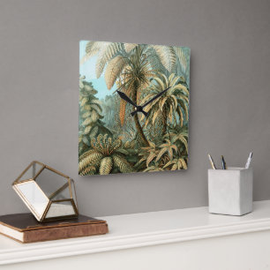 Relógio Quadrado Filicinae por Ernst Haeckel, Plantas de samambaia 