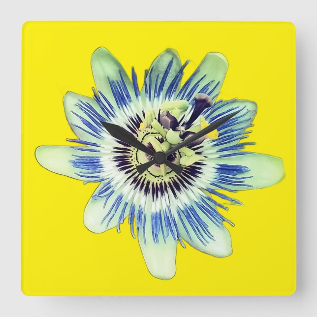 Relógio Quadrado Flor azul e branca (Frente)