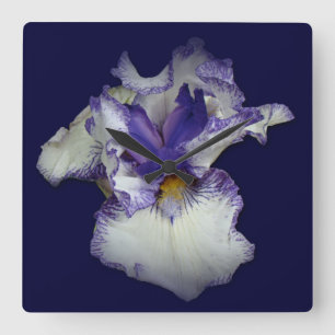 Relógio Quadrado Flor azul e branca da íris farpada