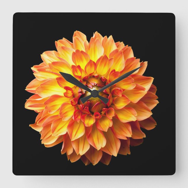 Relógio Quadrado Flor de Dahlia (Frente)