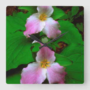 Relógio Quadrado Flor de Trillium