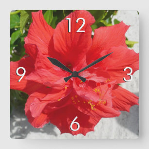 Relógio Quadrado Flor Red Double Hibiscus
