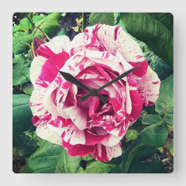 Relógio Quadrado Flor rosa escuro e branco