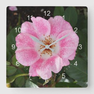 Relógio Quadrado flor rosa na sombra