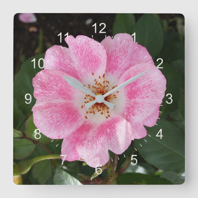 Relógio Quadrado flor rosa na sombra (Frente)