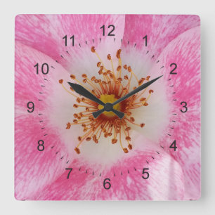 Relógio Quadrado flor rosa na sombra