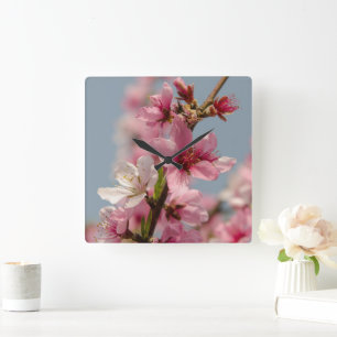 Relógio Quadrado Flor Sakura, Flor Japonês Rosa