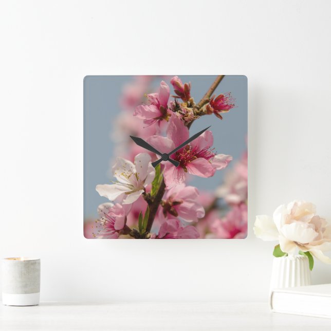 Relógio Quadrado Flor Sakura, Flor Japonês Rosa (Lar)