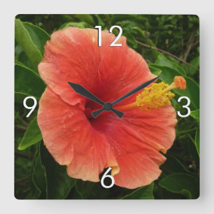 Relógio Quadrado Floral Tropical de Flor de Hibiscus Laranja