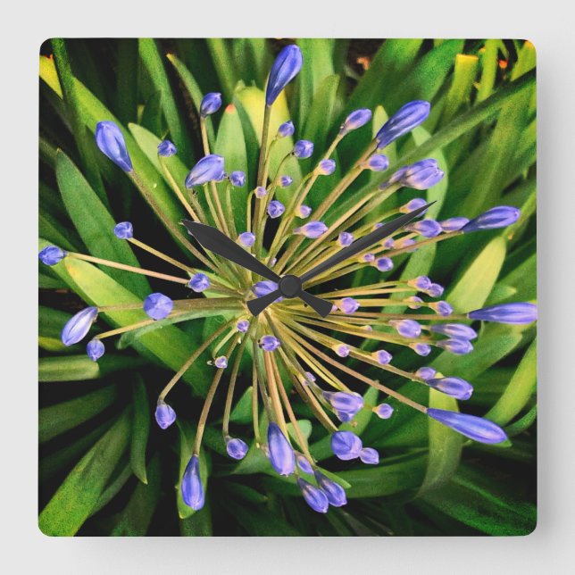 Relógio Quadrado Flores azuis (Frente)