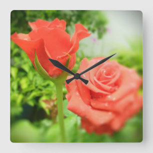 Relógio Quadrado Flores cor-de-rosa românticas