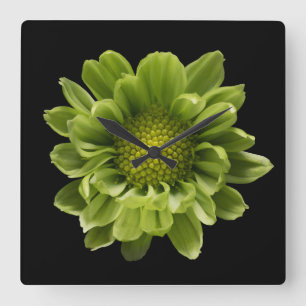 Relógio Quadrado Flores   Crolisântemo Verde