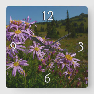 Relógio Quadrado Flores de Aster Roxo no Monte Rainier