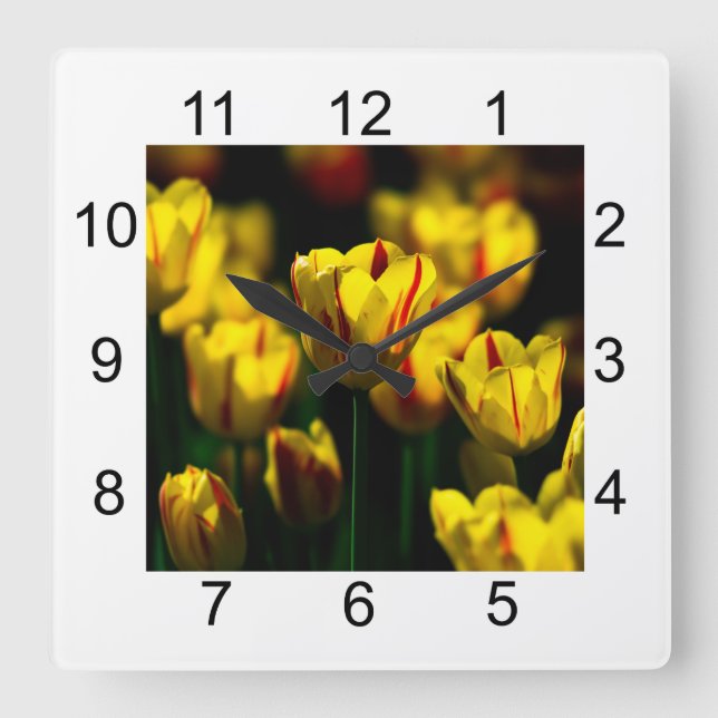 Relógio Quadrado Flores de tulipas amarelas (Frente)