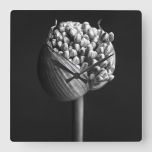 Relógio Quadrado Flores   Flor B&W Allium Bud