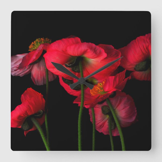 Relógio Quadrado Flores | Papagaios vermelhos (Frente)