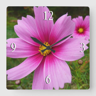 Relógio Quadrado Flores Silvestres Cosmos Rosa