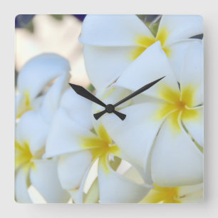Relógio Quadrado Flores tropicais do Plumeria