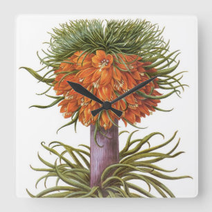Relógio Quadrado Flores Vintage Fritillaria por Basilius Besler
