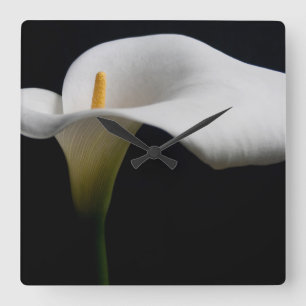 Relógio Quadrado Flores   White Calla Lily