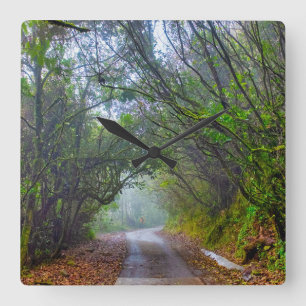 Relógio Quadrado Floresta Musgosa