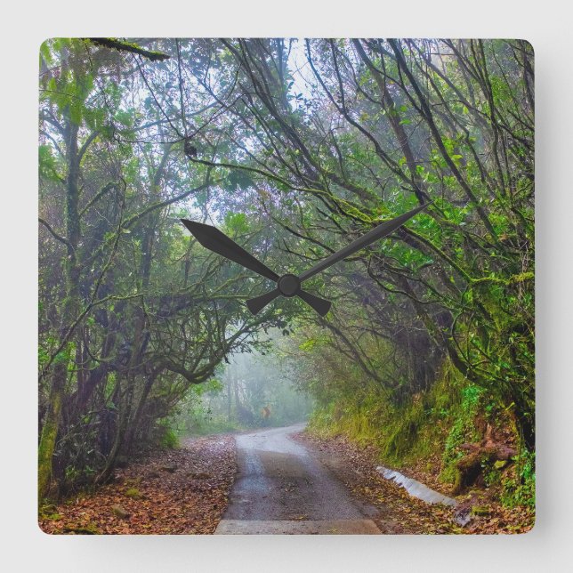 Relógio Quadrado Floresta Musgosa (Frente)