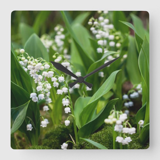 Relógio Quadrado Flowers | Lily of the Valley Sweden (Frente)