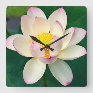 Relógio Quadrado Flowers Lotus Water Flower