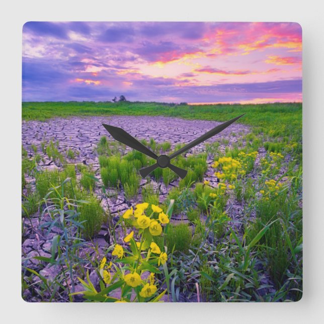 Relógio Quadrado Flowers | North Dakota Red River Valley (Frente)