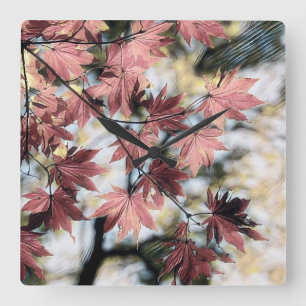 Relógio Quadrado Folhas vermelhas rosa e castanhas caídas Acríricas