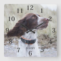 Foto Adorável de Cachorro Personalizado 