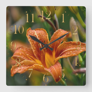 Relógio Quadrado Foto alaranjada da flor do hemerocallis & dos
