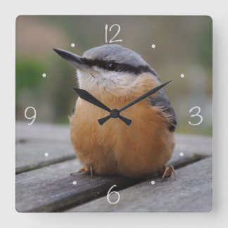 Relógio Quadrado Foto de Nuthatch