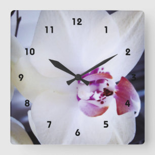 Relógio Quadrado Fotografia Orquídea Branca