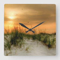 Gaivotas ao amanhecer