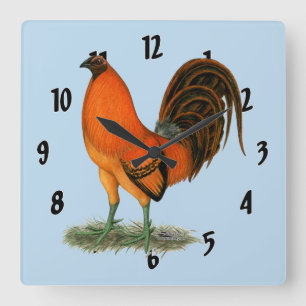 Relógio Quadrado Gamecock Ginger Red Rooster