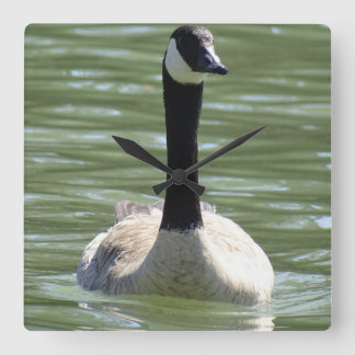 Relógio Quadrado Ganso