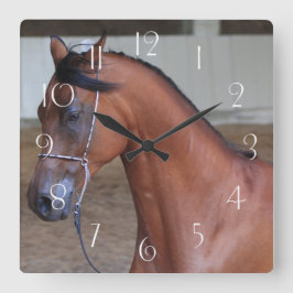 Relógio Quadrado Garanhão-árabe lindíssimo