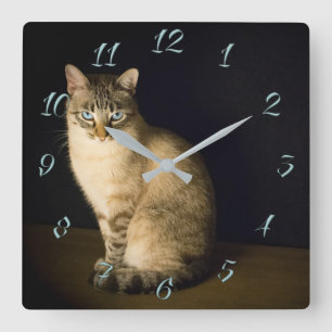 Relógio Quadrado Gatinho
