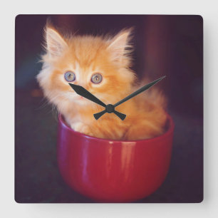 Relógio Quadrado Gatinho alaranjado em uma caneca vermelha