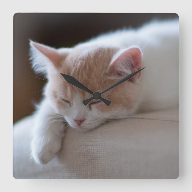 Relógio Quadrado Gatinho bege e branco cansado (Frente)