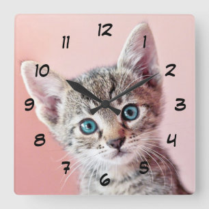 Relógio Quadrado Gatinho bonito com olhos azuis