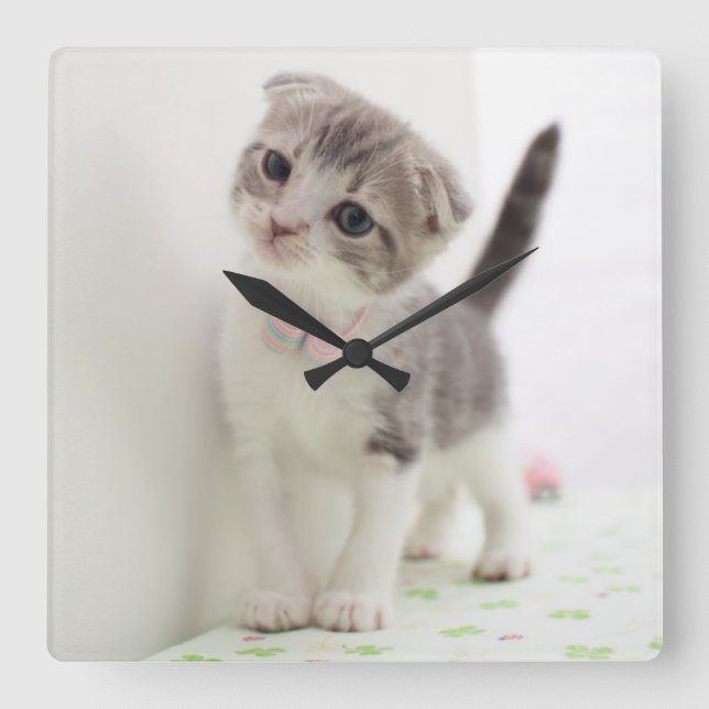 Relógio Quadrado Gatinho da dobra do Scottish (Frente)