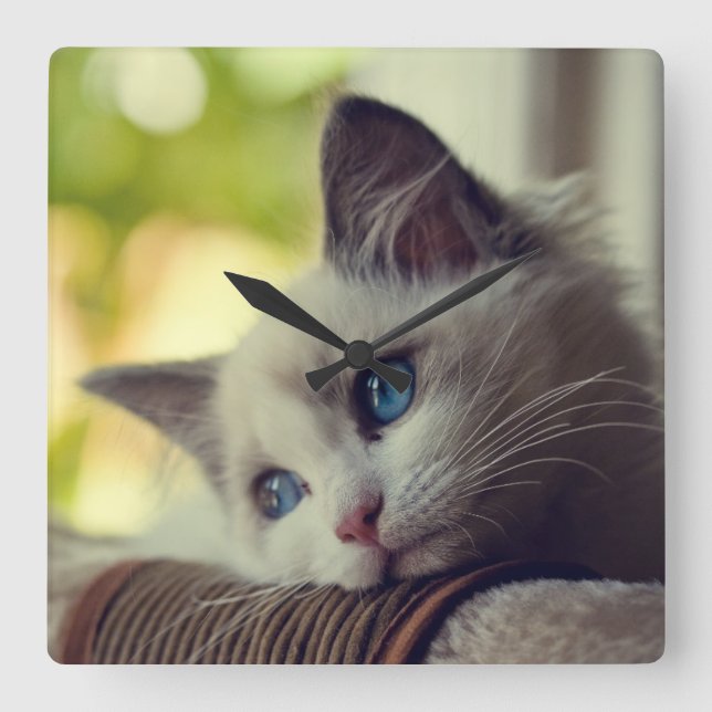 Relógio Quadrado Gatinho de Ragdoll (Frente)