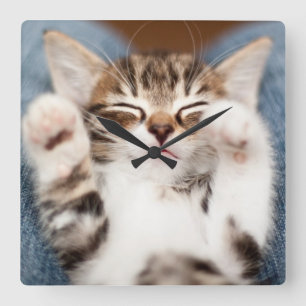 Relógio Quadrado Gatinho em meu regaço