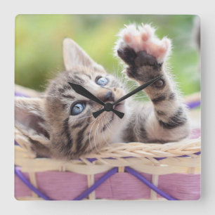 Relógio Quadrado Gatinho em uma cesta