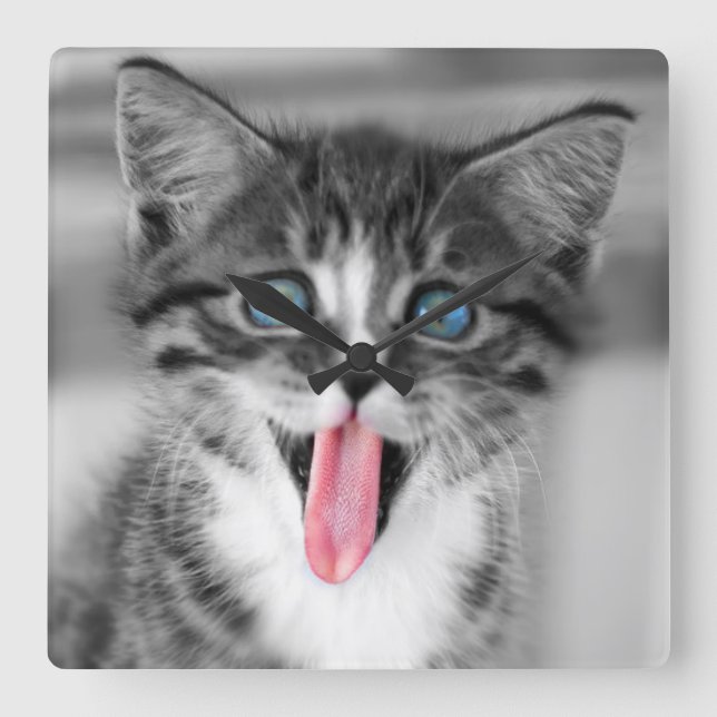 Relógio Quadrado Gatinho engraçado (Frente)