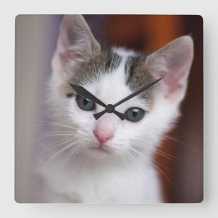 Relógio Quadrado Gatinho manchado branco