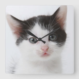 Relógio Quadrado Gatinho manchado preto