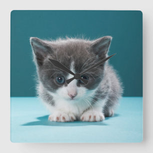 Relógio Quadrado Gatinho pequeno